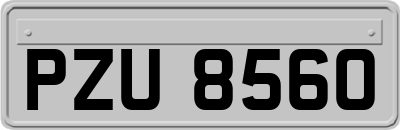 PZU8560