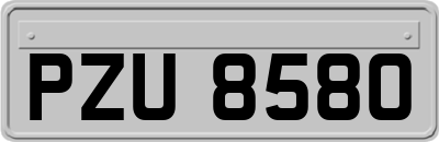 PZU8580