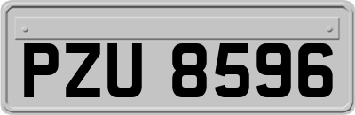 PZU8596