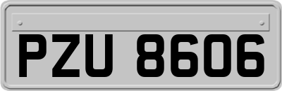 PZU8606