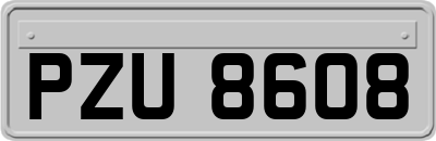 PZU8608