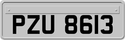 PZU8613