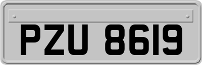 PZU8619