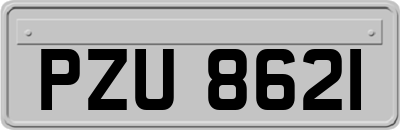 PZU8621