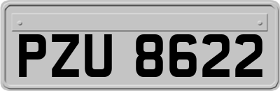 PZU8622