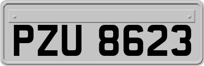 PZU8623