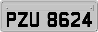 PZU8624