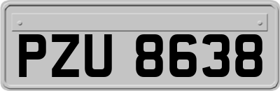 PZU8638