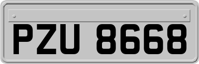 PZU8668