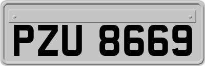 PZU8669