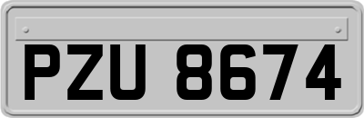 PZU8674