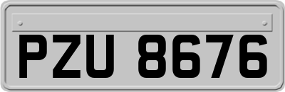 PZU8676