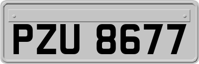 PZU8677