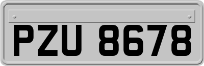 PZU8678