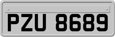 PZU8689