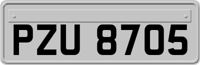 PZU8705