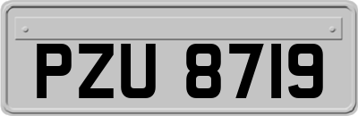 PZU8719