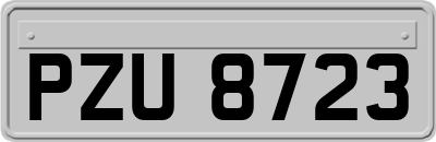 PZU8723