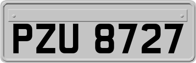 PZU8727