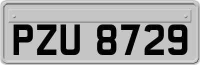 PZU8729