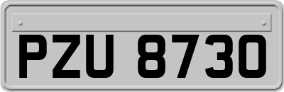 PZU8730