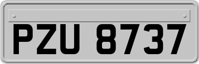 PZU8737