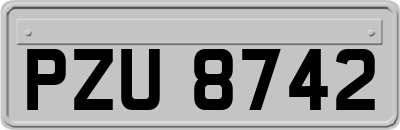 PZU8742