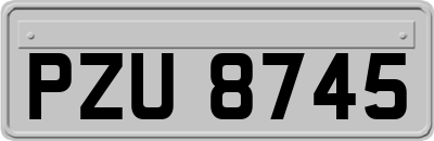 PZU8745