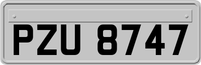 PZU8747