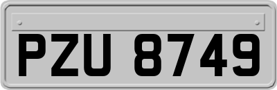 PZU8749