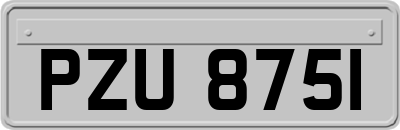 PZU8751