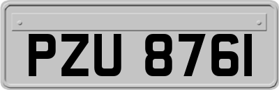 PZU8761