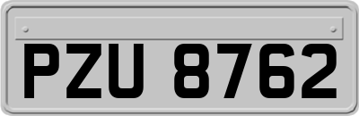 PZU8762