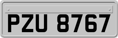 PZU8767