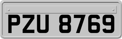 PZU8769