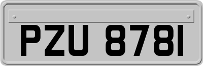 PZU8781