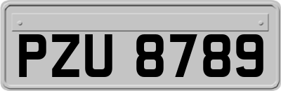 PZU8789