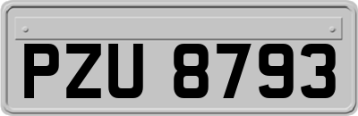 PZU8793