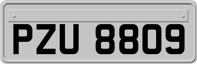 PZU8809