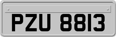 PZU8813