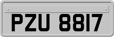 PZU8817