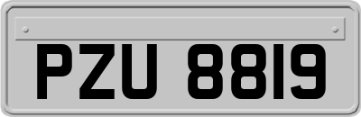 PZU8819