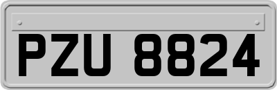 PZU8824