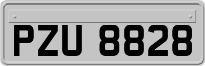 PZU8828