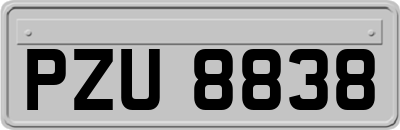 PZU8838