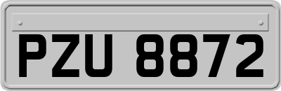 PZU8872