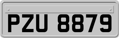 PZU8879