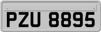 PZU8895