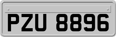 PZU8896