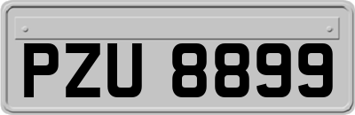 PZU8899